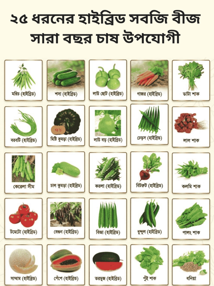 WhatsApp Image 2026-05-13 at 10.32.02 AM